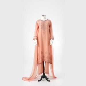 Chiffon Embroidered Party Suit